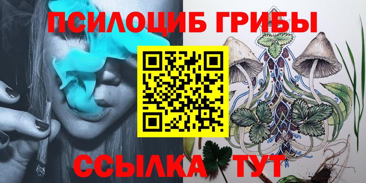 Галлюциногенные грибы MAGIC MUSHROOMS Дятьково