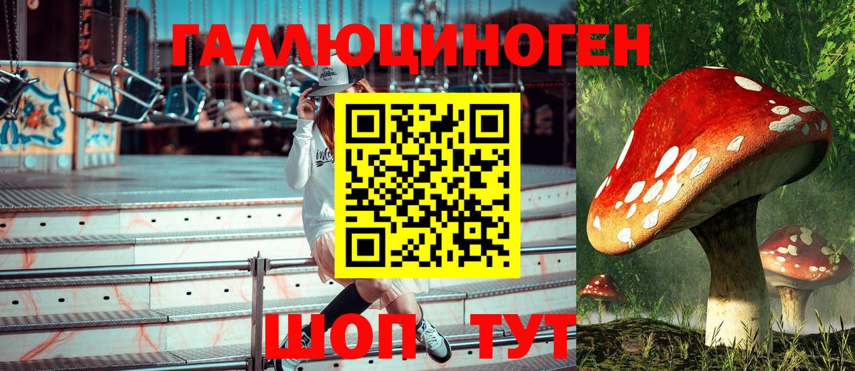 Галлюциногенные грибы GOLDEN TEACHER  Псилоцибиновые грибы Psilocybine cubensis  Вход с VPN  Дятьково 